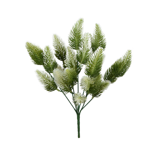 Valkoinen mänty – ruukkutekokasvi, 33 cm