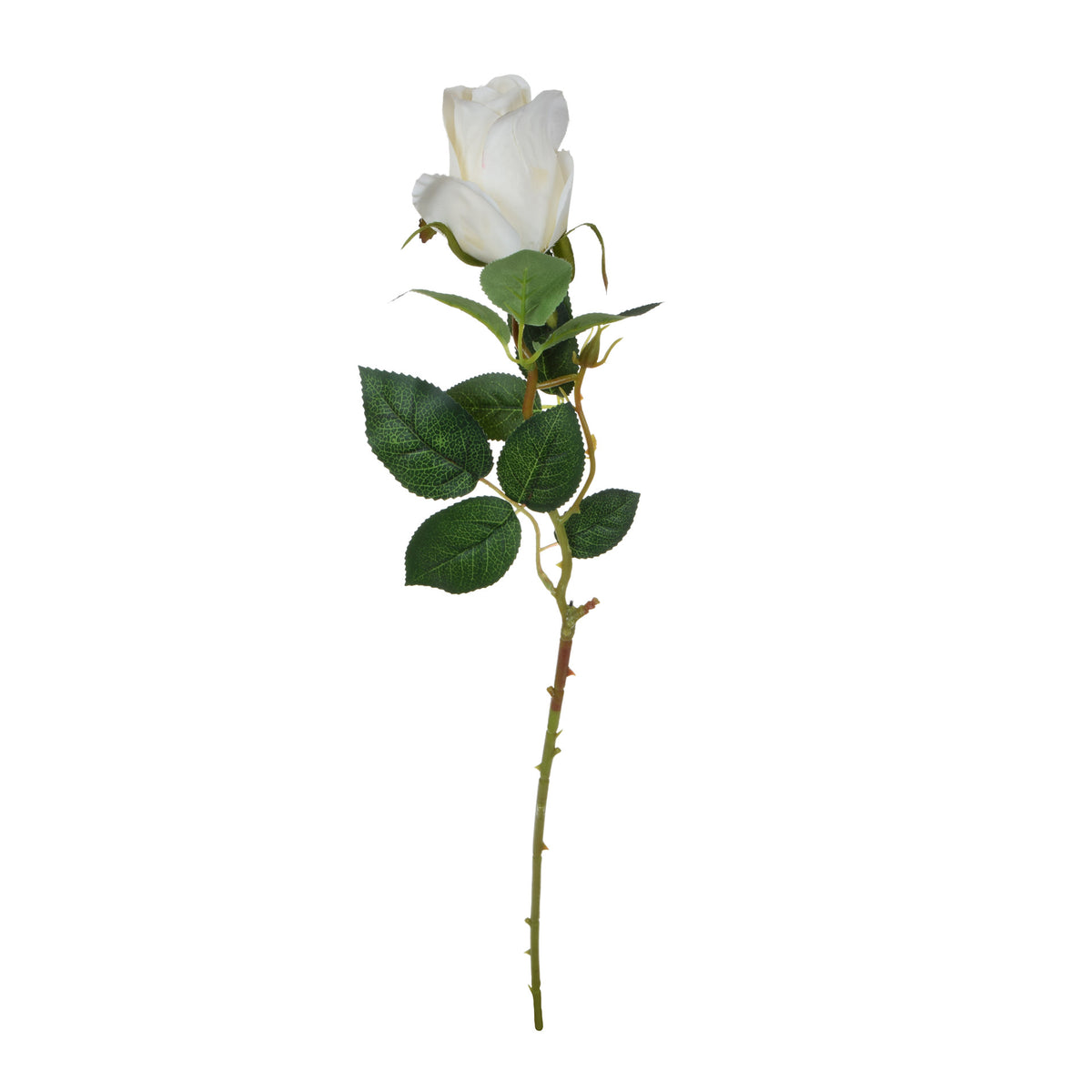 Valkoinen tekoruusun kukkavarsi, 67 cm