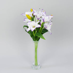 Valkoinen/Violetti