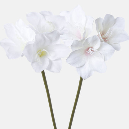 Värilajitelma amaryllis – tekokukka, 68 cm