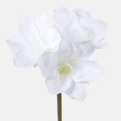 Värilajitelma amaryllis – tekokukka, 68 cm
