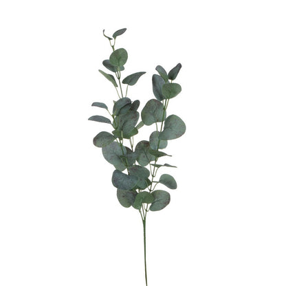 Värilajitelma eukalyptus – koristeoksa, 70 cm