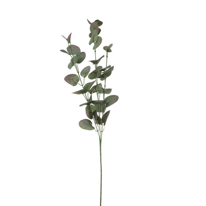 Värilajitelma eukalyptus – koristeoksa, 70 cm