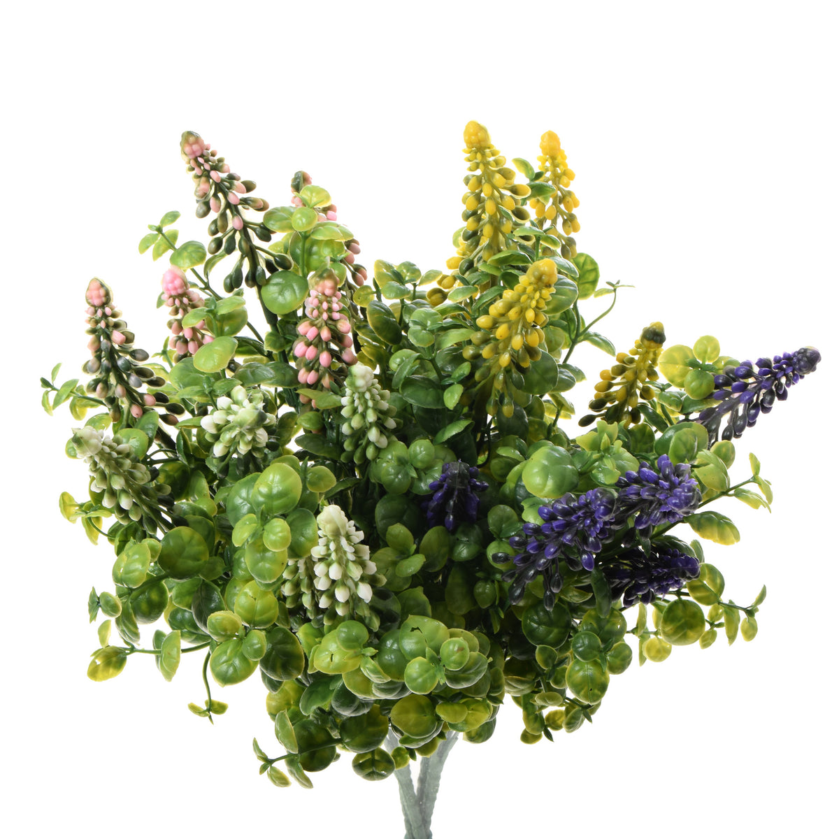 Värilajitelma eukalyptus – ruukkutekokasvi, 35 cm