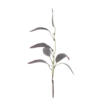 Värilajitelma koristeoksa, 60 cm