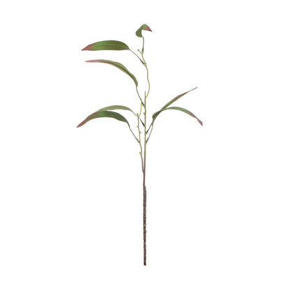Värilajitelma koristeoksa, 60 cm