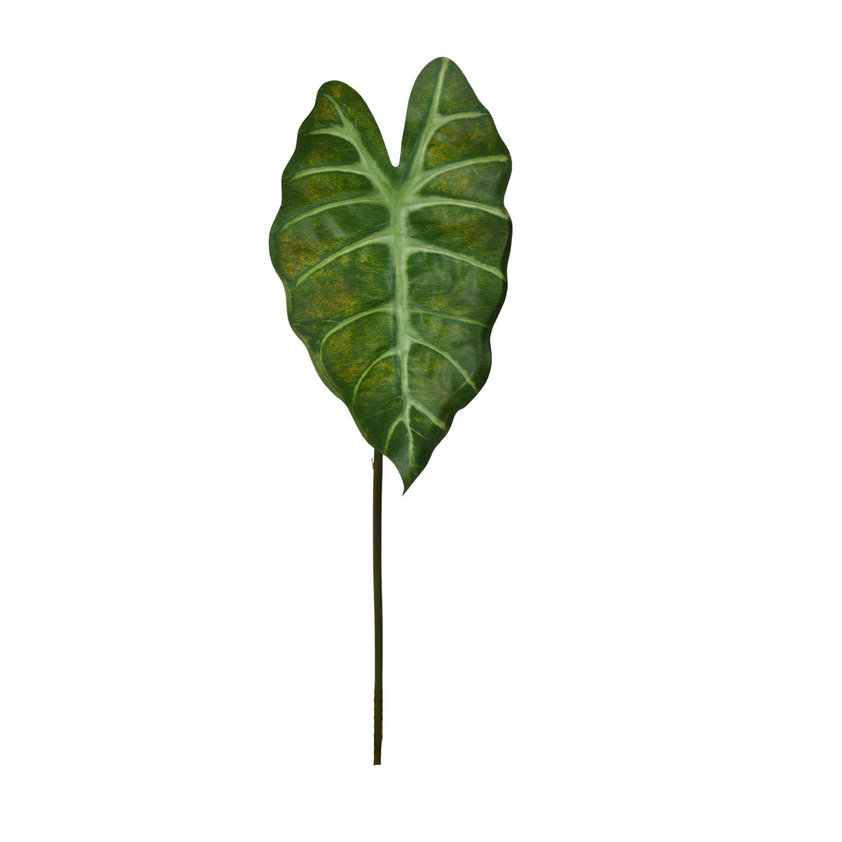 Vihreä alokasia – tekolehti, 60 cm