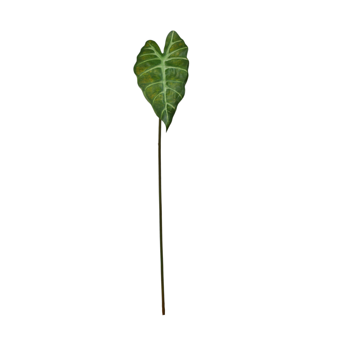 Vihreä alokasia – tekolehti, 60 cm