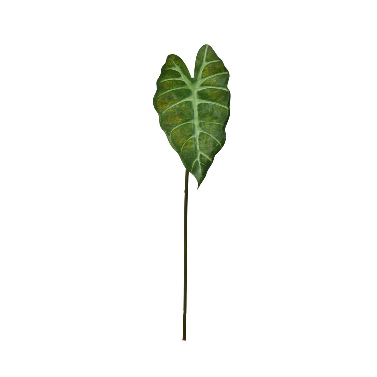 Vihreä alokasia – tekolehti, 60 cm