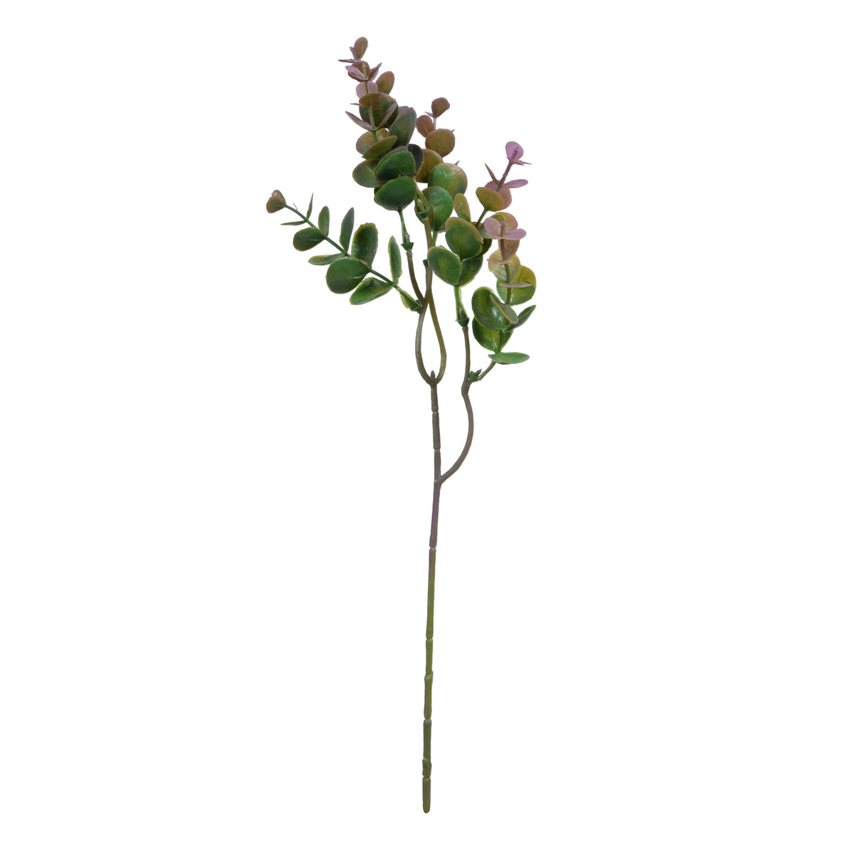 Vihreä eukalyptus – koristeoksa, 37 cm