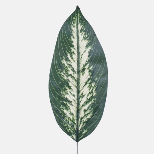 Vihreä/kerma kirjovehka – tekolehti, 51 cm