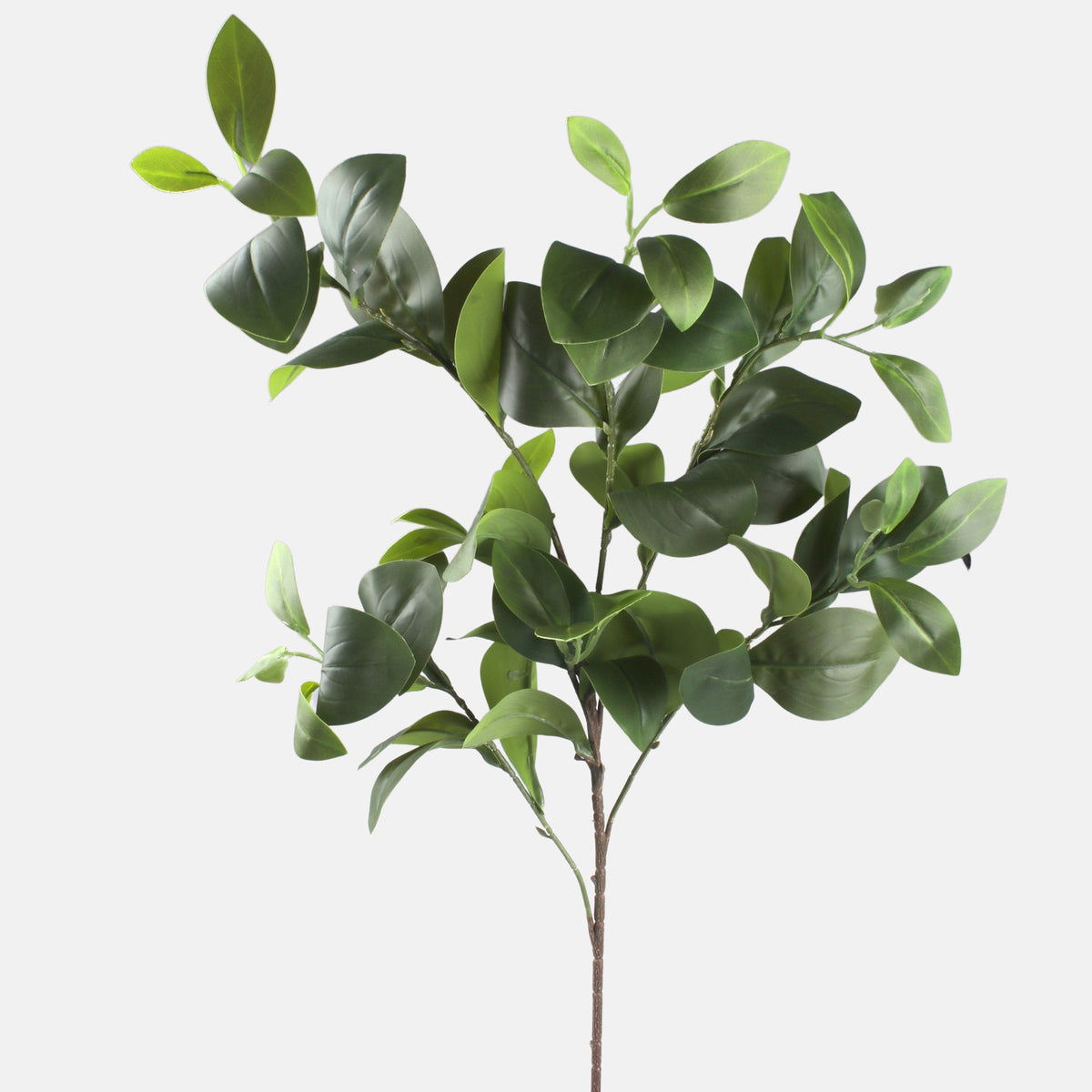 Vihreä koristeoksa, 90 cm