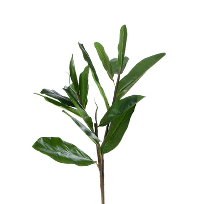 Vihreä magnolia – koristeoksa, 85 cm