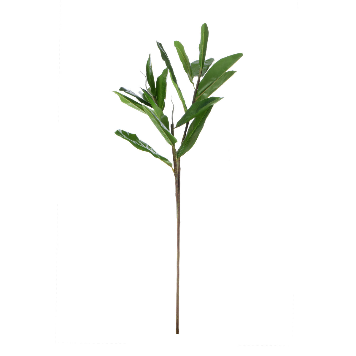 Vihreä magnolia – koristeoksa, 85 cm