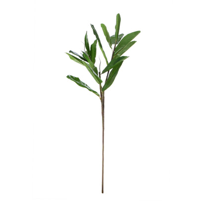 Vihreä magnolia – koristeoksa, 85 cm