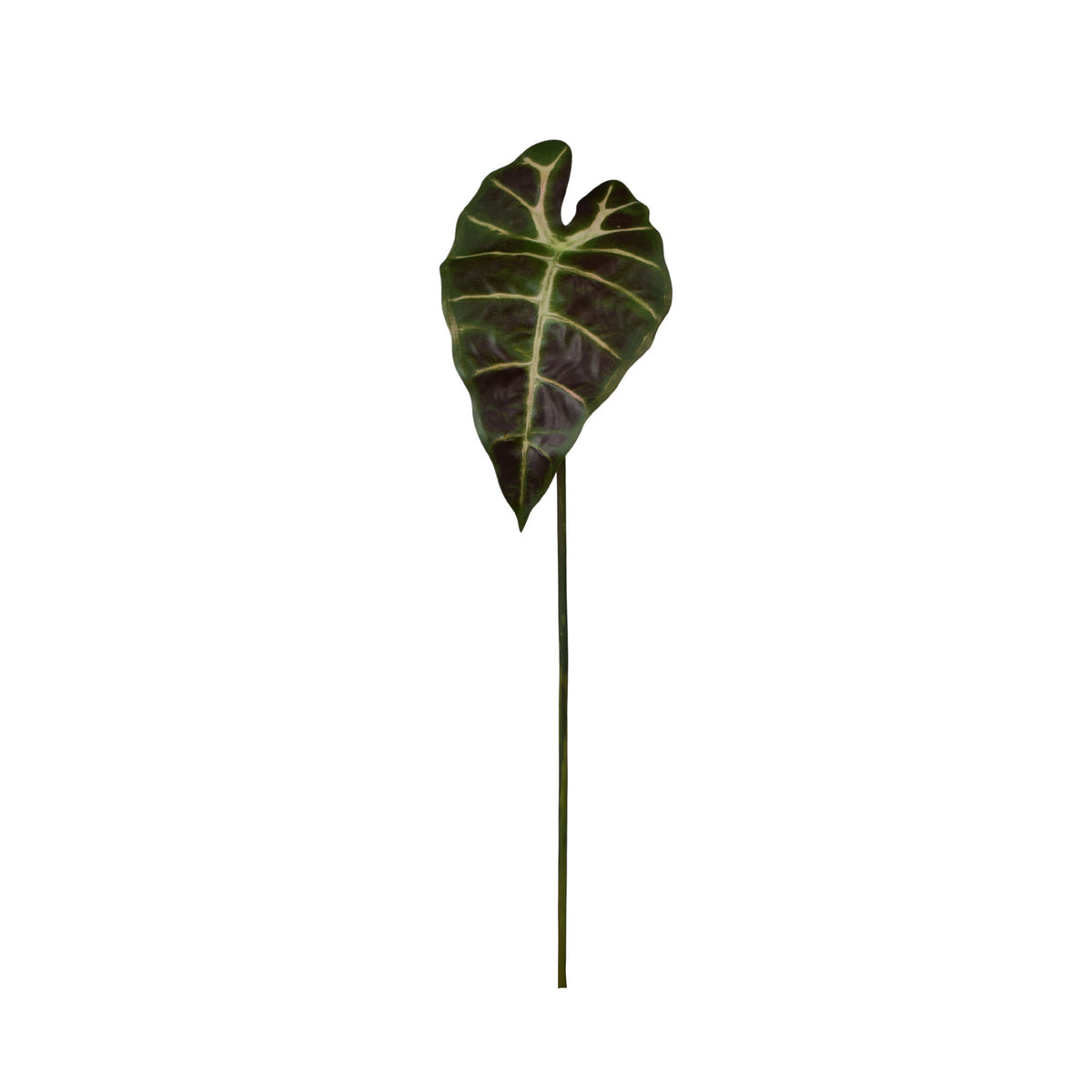 Vihreä/ruskea alokasia – tekolehti, 60 cm