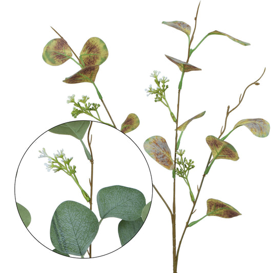 Vihreä/ruskea eukalyptus – koristeoksa, 63 cm