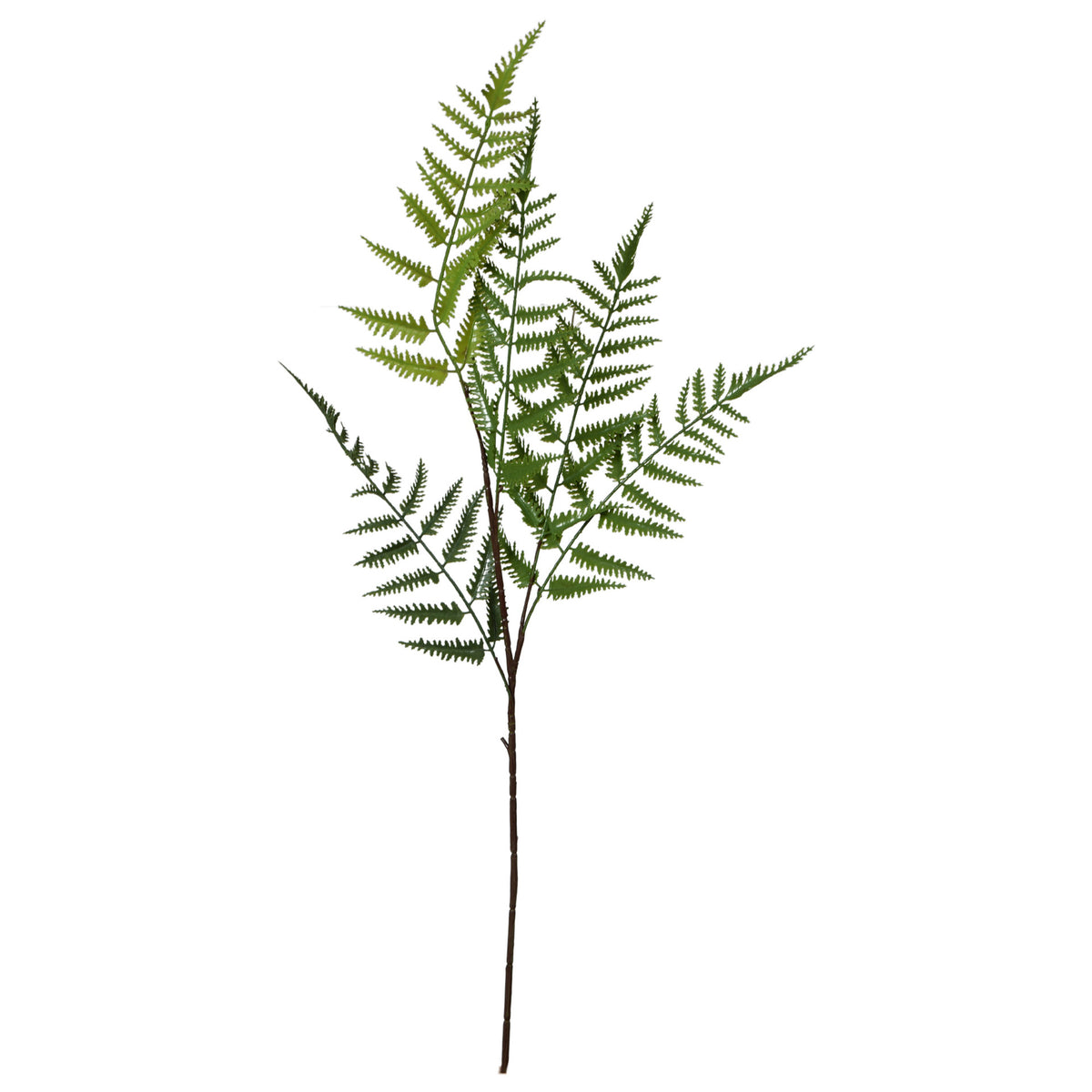 Vihreä saniainen – koristeoksa, 90 cm