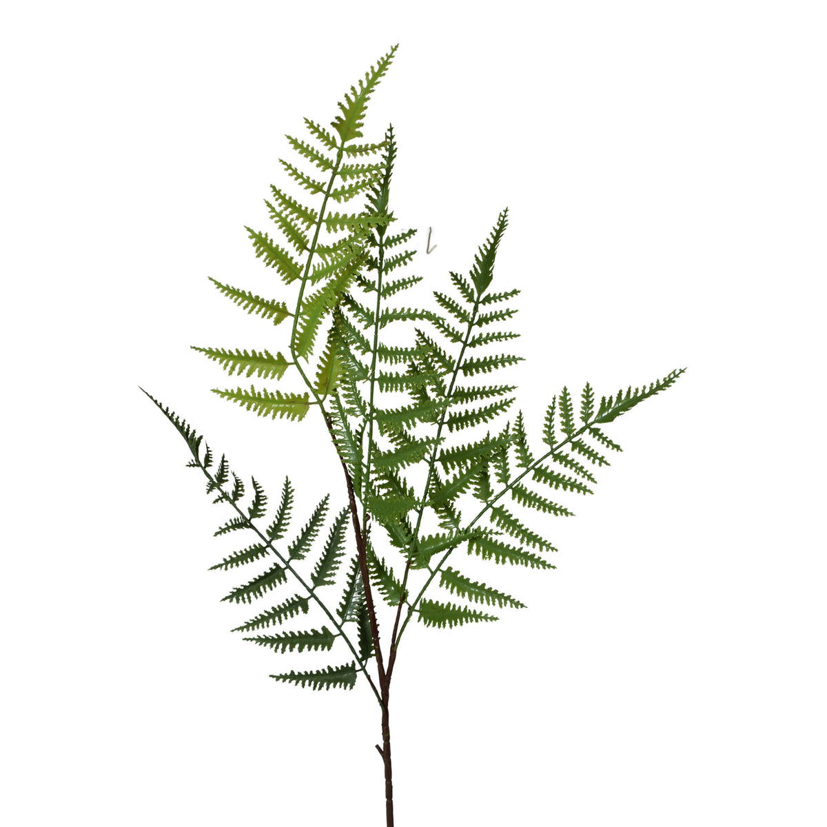 Vihreä saniainen – koristeoksa, 90 cm