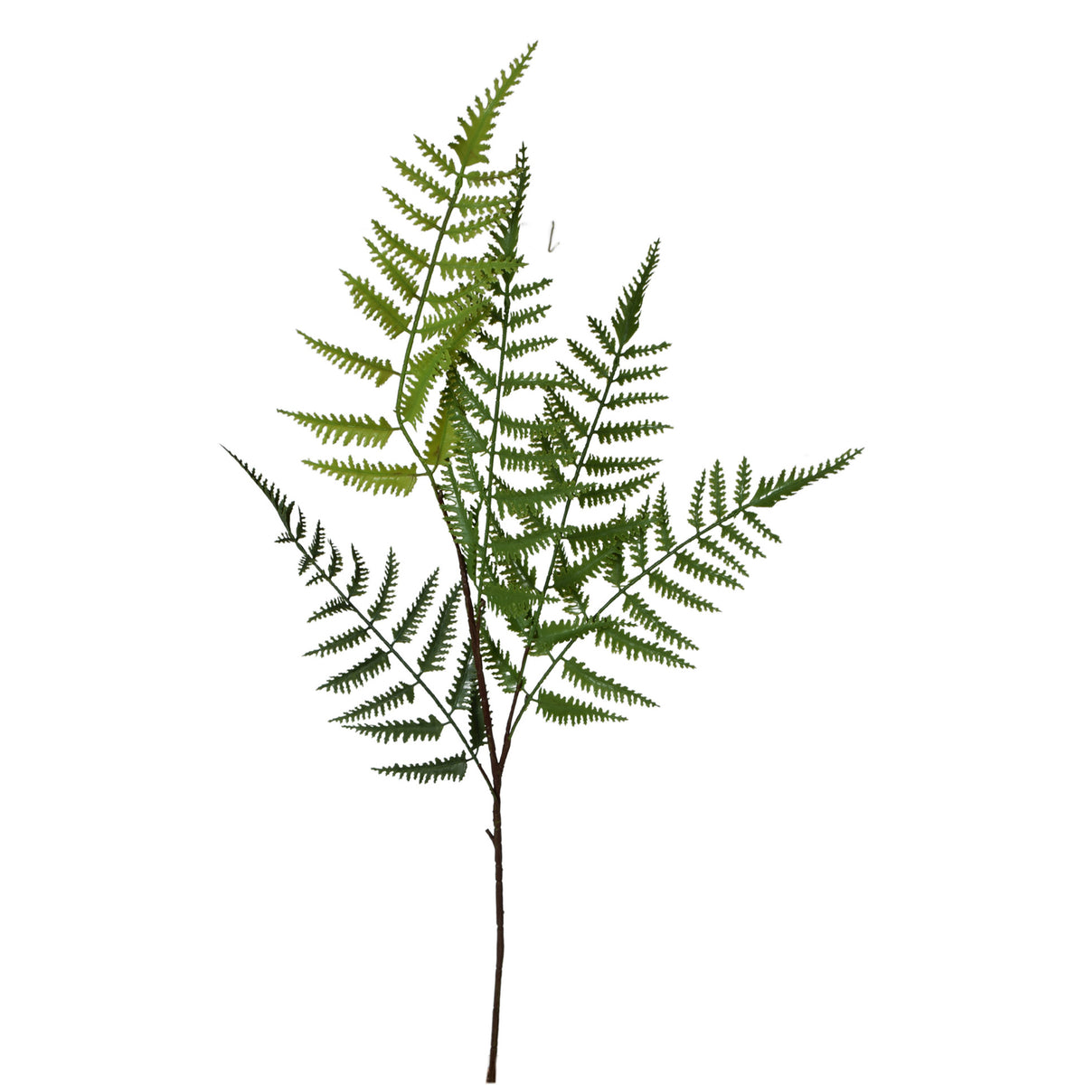 Vihreä saniainen – koristeoksa, 90 cm