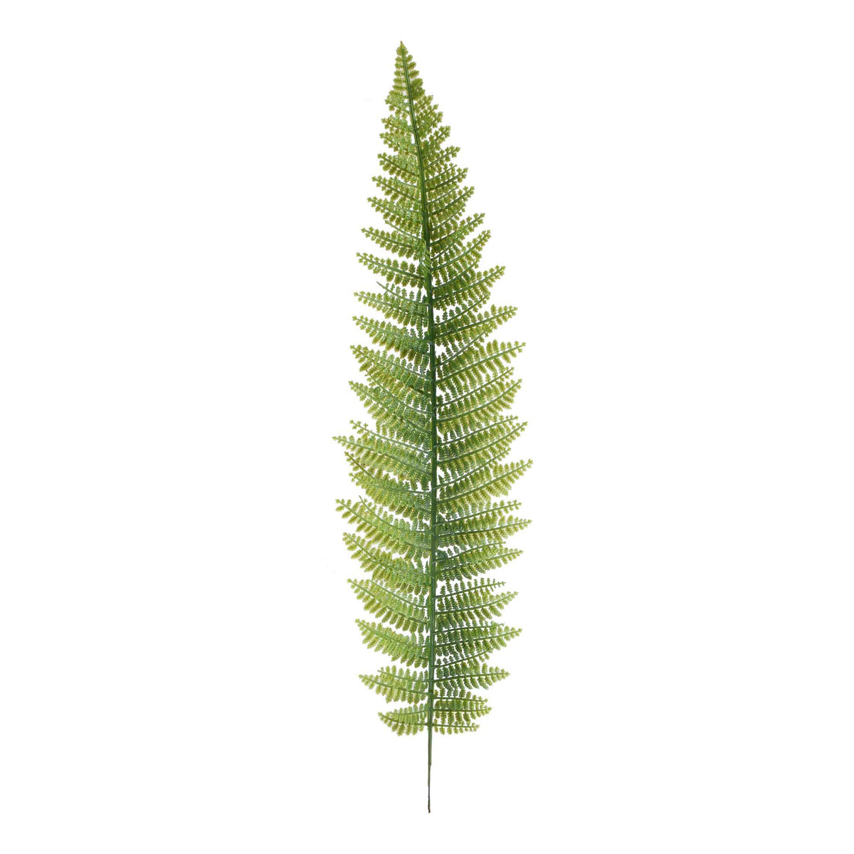 Vihreä saniainen – tekolehti, 55 cm
