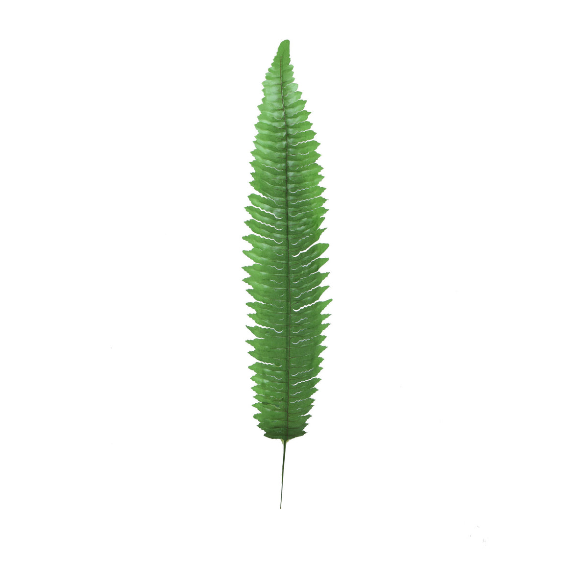 Vihreä saniainen – tekolehti, 58 cm