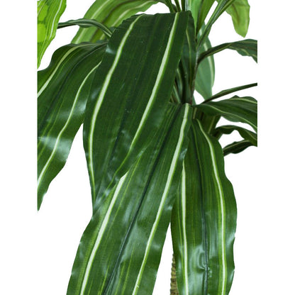 Vihreä traakkipuu – ruukkutekokasvi, 110 cm
