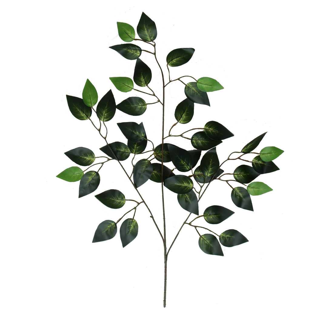 Vihreä/tumma/vihreä fiikus – koristeoksa, 62 cm