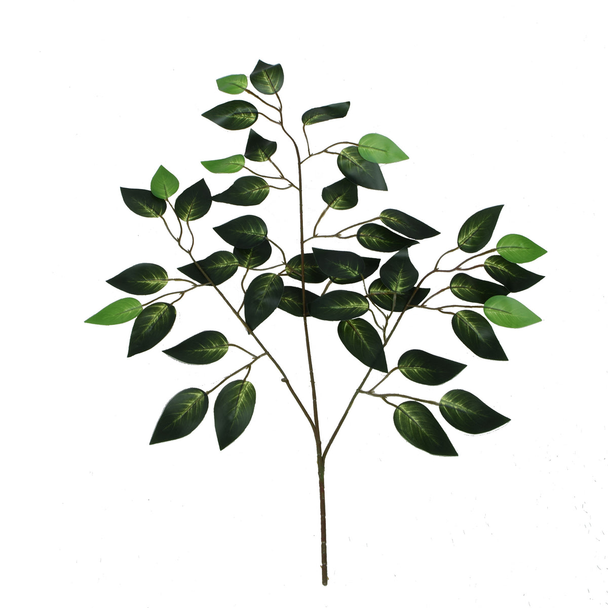 Vihreä/tumma/vihreä fiikus – koristeoksa, 62 cm
