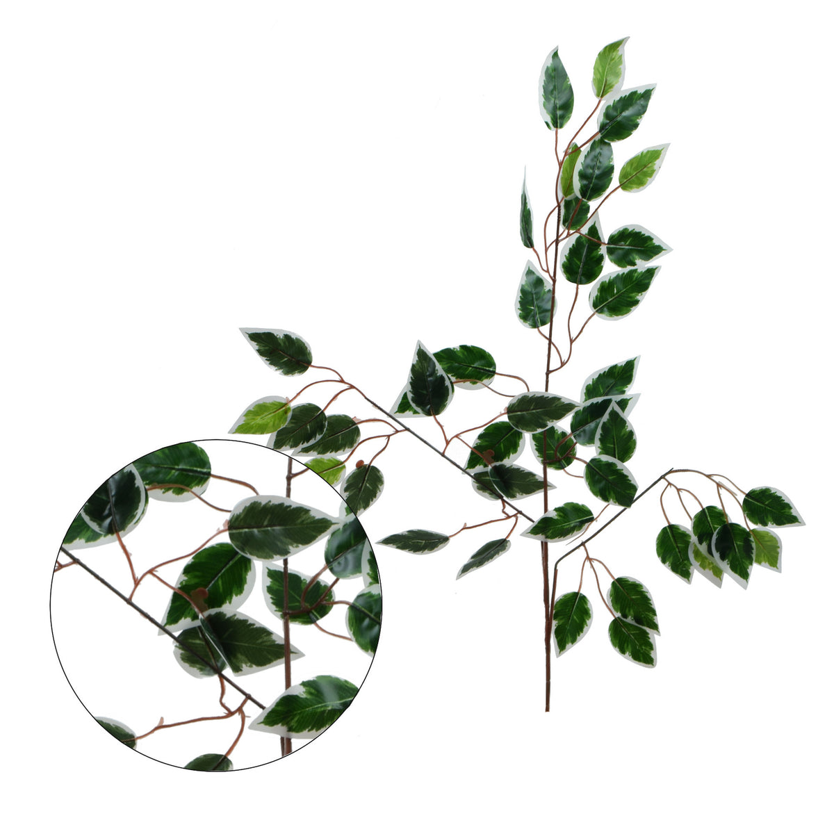 Vihreä/valkoinen fiikus – koristeoksa, 60 cm