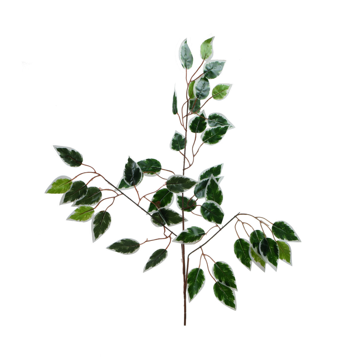 Vihreä/valkoinen fiikus – koristeoksa, 60 cm