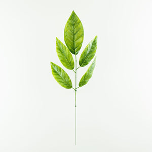 Vihreä/Valkoinen