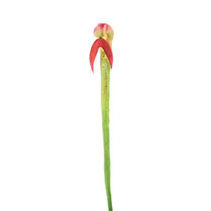 Vihreä/violetti tekoorkidean kukkavarsi, kumipinta, 65 cm