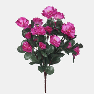 Violetti