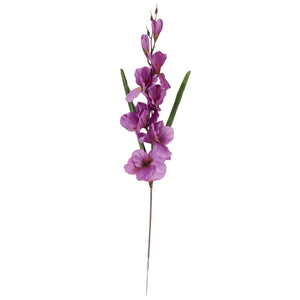 Violetti