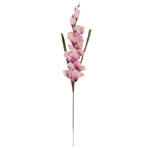 Violetti
