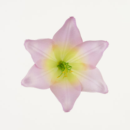 Violetti/keltainen tekoliljan kukkapää, satiini, 13 cm