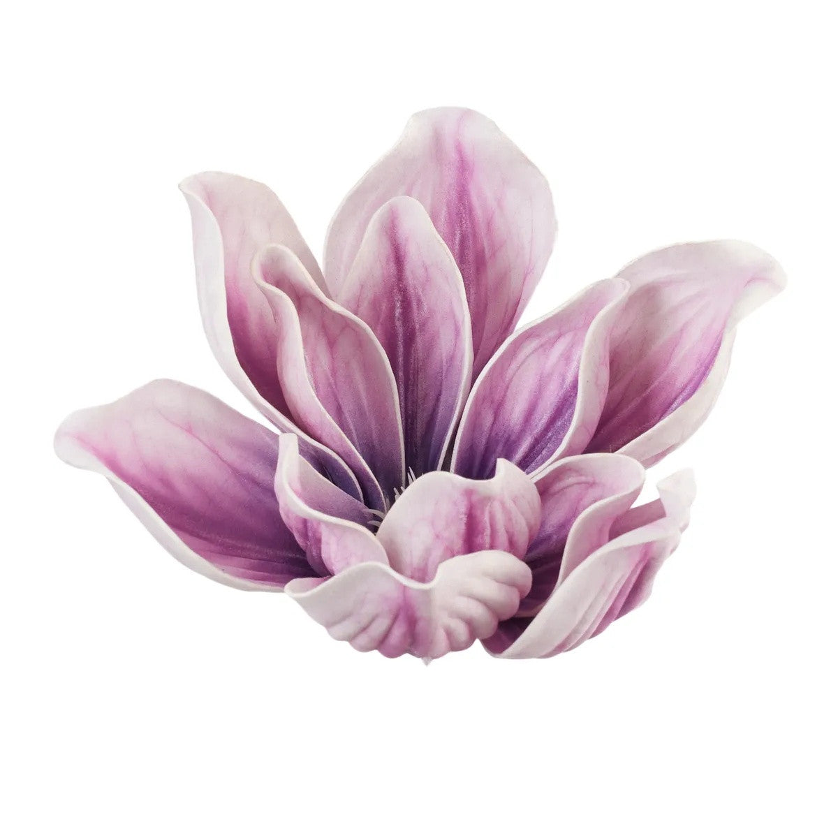 Violetti magnolia – tekokukkapää, 15 cm