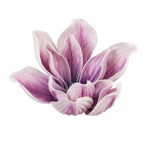 Violetti