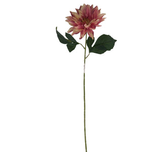 Violetti/Malva