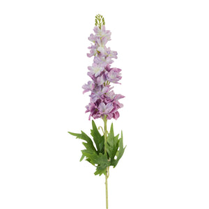 Violetti