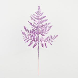 Violetti