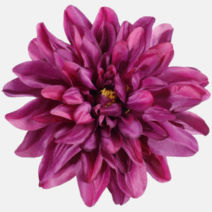 Violetti