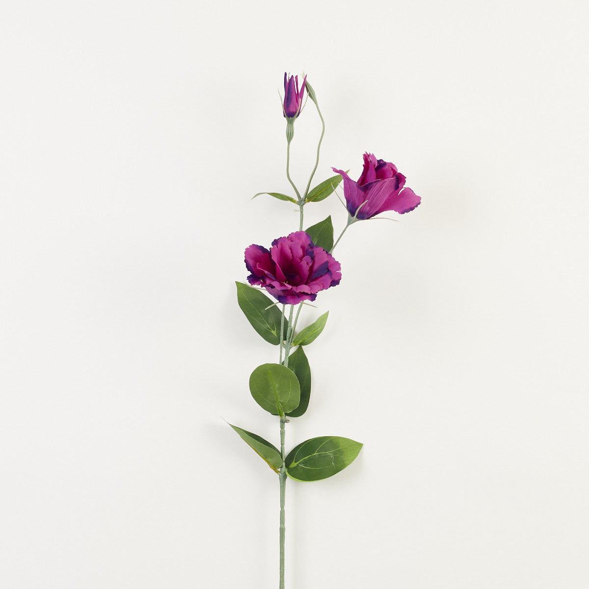 Violetti tekoeustoman kukkavarsi