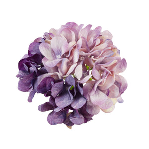 Violetti
