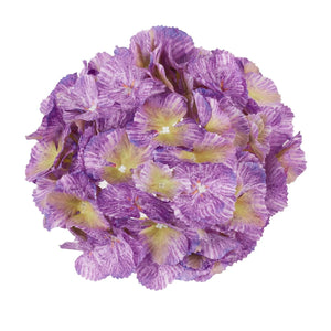 Violetti