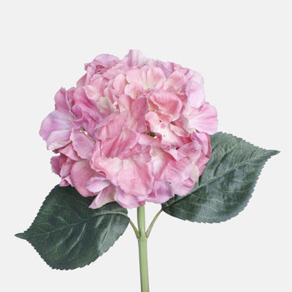 Violetti tekohortensian kukkavarsi, 60 cm