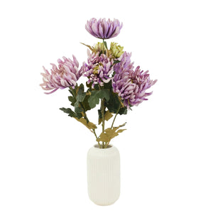 Violetti