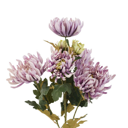 Violetti tekokrysanteemin kimppu