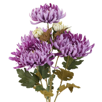 Violetti tekokrysanteemin kimppu